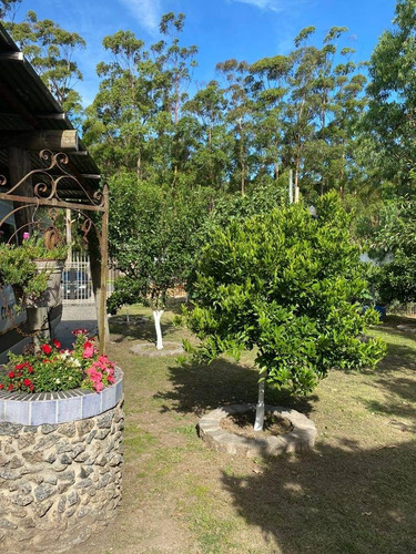 Casa Con Piscina, 2d ,600m2,financiacion Directa ,costa Azul Sur