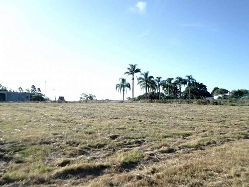 Terrenos O Lotes Venta Colonia