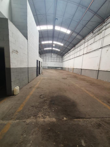 Imagen 14 de 22 de Alquiler Galpon 545m² Mar Del Plata Zona Champagnat Y Luro