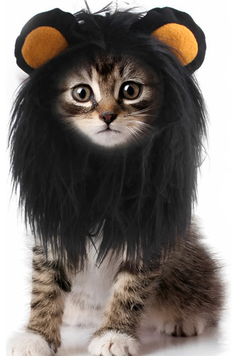 Melena De León Para Perros Pequeños Y Gatos Disfraz Mascotas
