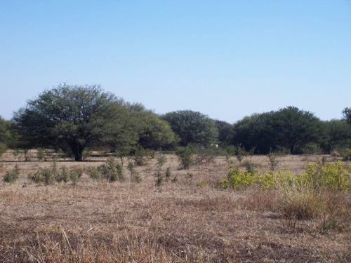 Imagen 6 de 9 de Fracción De 5 Ha. Charbonier( Última Disponible)