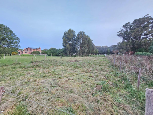 Terreno A La Venta En Playa Los Lobos