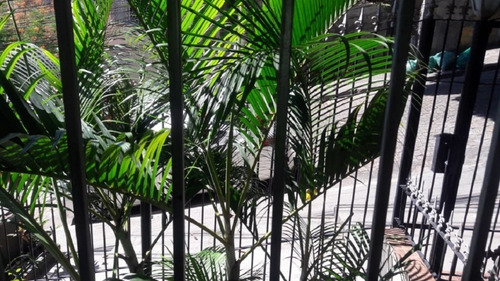 Imagem 16 de 16 de Apartamento - Hmap765 - 33563383