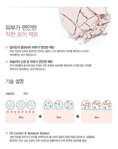 Base De Maquillaje En Polvo The Saem Perfect Pore Pact - 12g