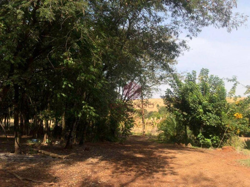 Imagem 13 de 23 de Sítio À Venda, 130000 M² Por R$ 4.500.000,00 - Gleba Pinguim - Maringá/pr - Si0004