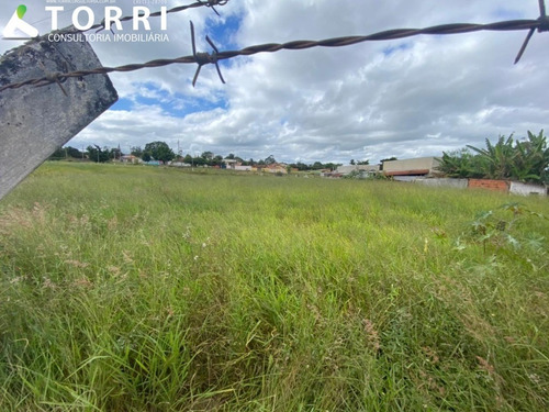 Imagem 6 de 13 de Terreno À Venda Na Vila São João Em Sarapuí - Te00775 - 69495610