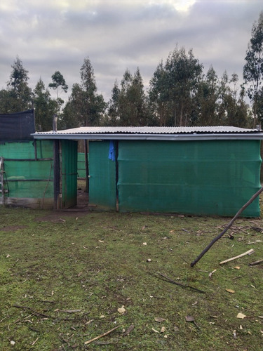 Terreno Con Casa