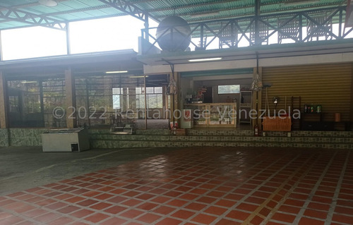 Imagen 1 de 11 de Terreno De 5.000 Mts2 Con Casa Y 2 Locales Comerciales Ym