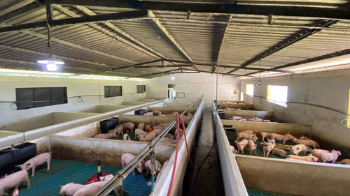 Imagen 20 de 28 de En Venta Granja Porcicola En Las Mesas Via Seboruco