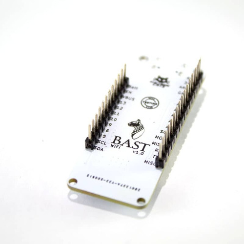 Bast Wifi Esp32 Iot