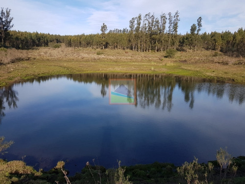 Campo Pueblo Edén 42.5 Hectáreas Con Casa
