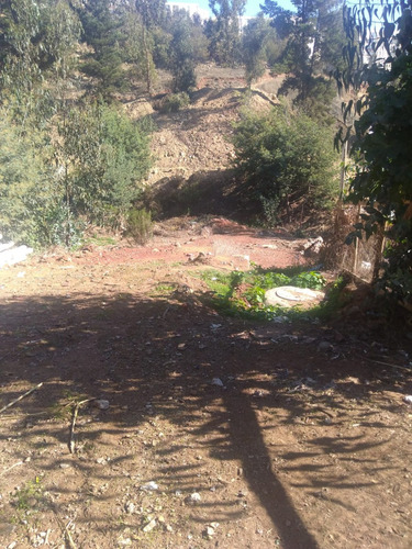 Rebajada Linda Parcela Con 2 Cabañas En Pinares De Algarrobo