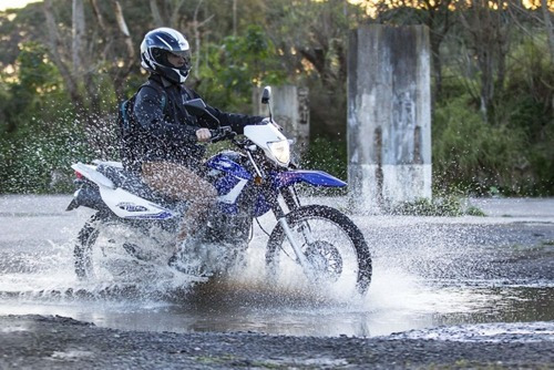 Imagen 5 de 25 de Motomel Skua 150 V6 Motozuni