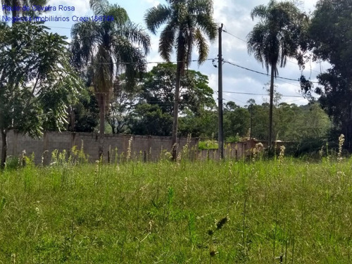 Imagem 7 de 17 de Terreno - Te00050 - 69320696