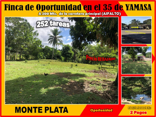 Se Vende Finca De 252 Tareas En El 35 De Yamasa, Precio Rebajado Y A 200 Metros Del Asfalto