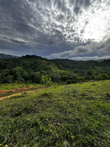 Lote Con Acceso A Río En San Carlos Antioquia