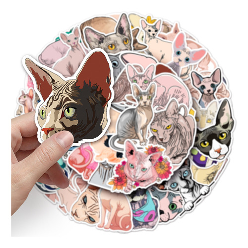 Pegatinas De Gato Sin Pelo De Dibujos Animados Para Niños C