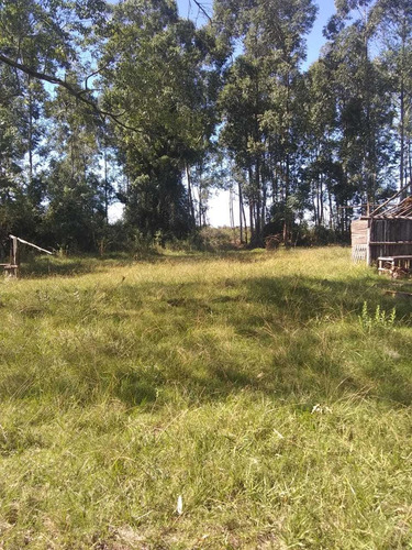 Campo Ganadero En Sauce Ctes