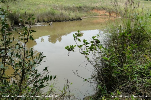 Imagem 5 de 15 de Sítio / Chácara Para Venda Em Mariana Pimentel, Linha Preta - Mariana Pimentel - 1256_1-542909