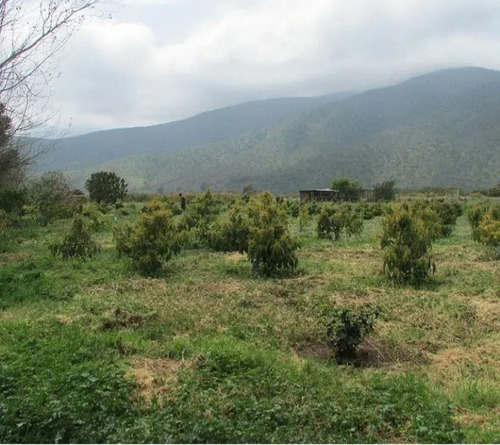 Parcela En Venta En La Ligua