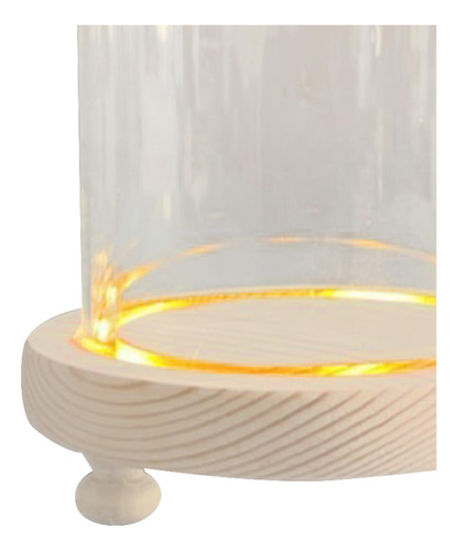 Cristal Transparente Cloche Dome Showcase 9x11cm Pájaro