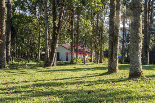 Imagem 24 de 25 de Lindo Sítio Na Região De São José Dos Pinhais! - Aa 1659