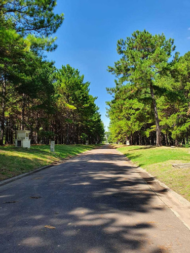 Imagen 5 de 16 de Pinares - Lote En Etapa 2 Con Vista A Hoyo De Golf
