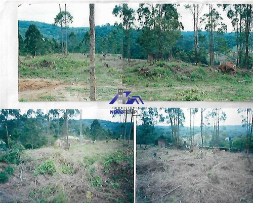 Imagem 3 de 7 de Terreno A Venda Em Embu Com 1550m² - Te00243 - 70352302