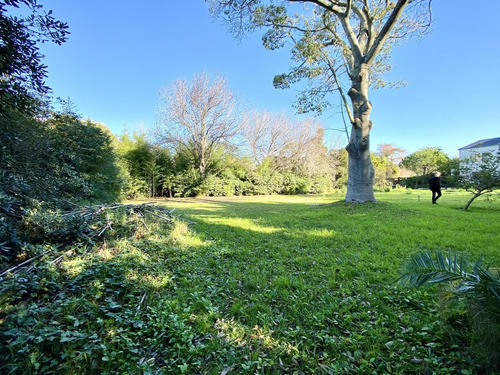 Imagen 7 de 11 de Espectacular Lote Terreno En Venta En Martinez - Libertador Al Rio