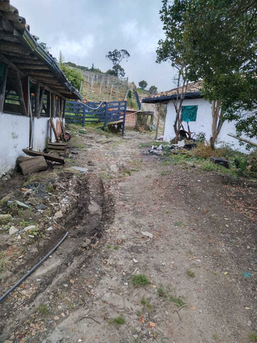 Imagen 14 de 29 de Finca En Venta Sonsón Antioquia 19 Ha Mz