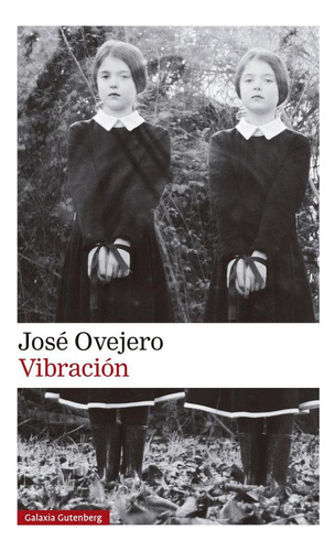 Libro: Vibracion. Ovejero, Jose. Galaxia Gutenberg, S.l.