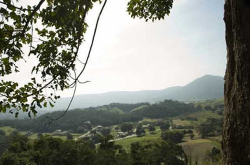 Imagem 14 de 15 de Terreno-à Venda-ubatiba-maricá - Mauf00257