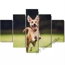 Comprar Quadro Cão Correndo Decorativo Filhote Cachorro 06mmmdf