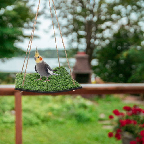 Hamaca Lizard: Columpio De Césped Artificial Para Loros Y Pá