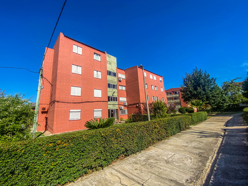 Venta Apartamento 4 Dormitorios Reciclados A 2 Y Oficina En Maldonado