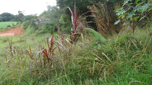 Imagem 6 de 10 de Terreno Bairro Do Regi 17000m2