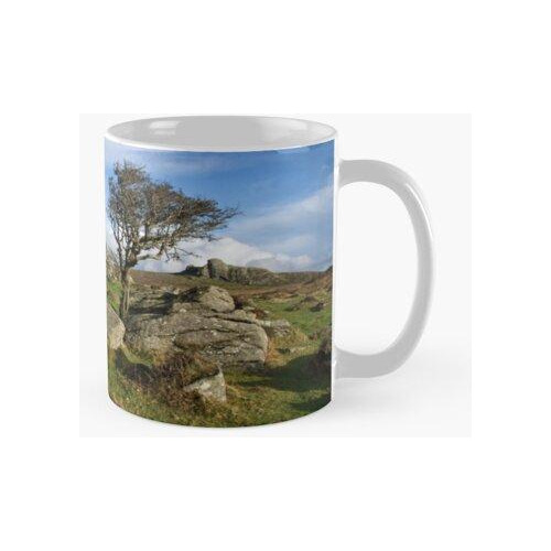 Taza Holwell Tor En Dartmoor Calidad Premium