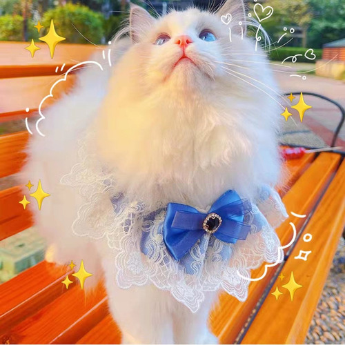 (l-b) Cuello De Encaje Con Forma De Gato Para Cachorros Pequ