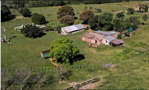 Campo En Venta 2000 Has En San Francisco Del Laishi Formosa