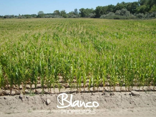 Campo  En Venta En General Conesa,  Rio Negro, Patagonia