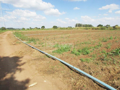 Imagem 4 de 6 de Área À Venda Em Chácara Santa Margarida - Ar005920