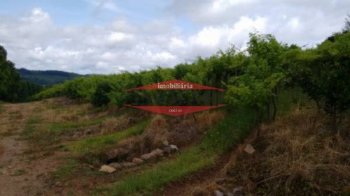 Imagem 8 de 15 de Chacara - Linha Jacinto - Ref: 5862 - V-5862