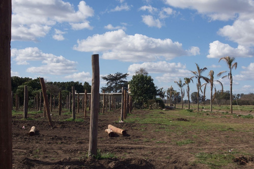 Imagen 7 de 15 de Lotes En Barrio Cerrado Zona Oeste Nueva Autopista
