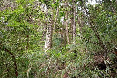 Venta Parcela Pucón Con Acceso A Rio Carhuello