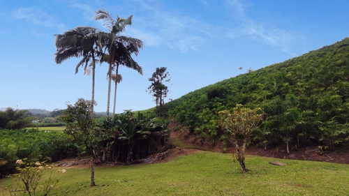 Imagem 23 de 28 de Linda Chácara No Vila Nova | Terreno Com 204.700 M² | Próximo Ao Bar Do Canarinho - Sa01954 - 69526825