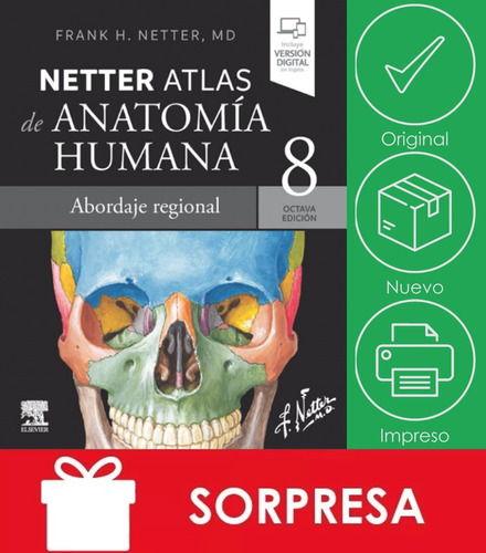 Netter / Atlas De Anatomía + Pluma Hueso Regalo