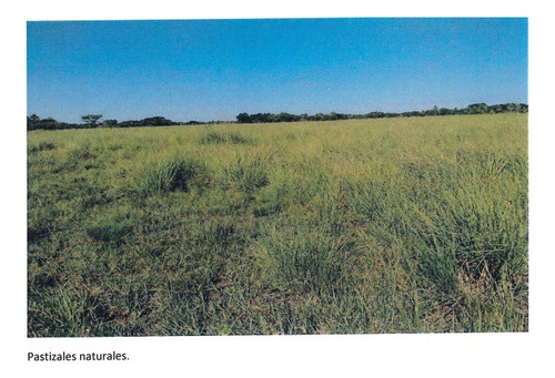 Campo Mixto 14.384 Hectáreas En Formosa