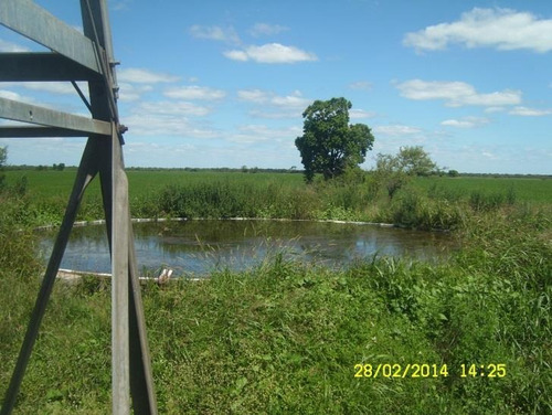 Imagen 7 de 16 de Estancia En Venta (campo Agrícola Ganadero) - La Gallareta, Sta Fe