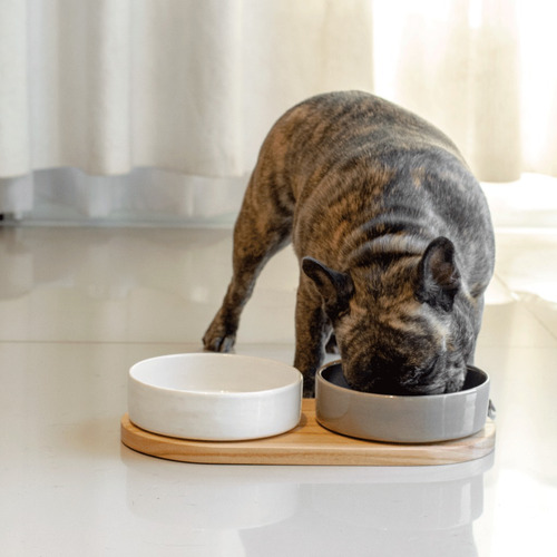 Comedero Bebedero Plato Para Perro Y Gato Mypaw Joy F Color Blanco