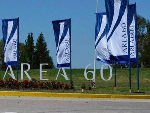 Imagen 5 de 10 de Excelente Lote